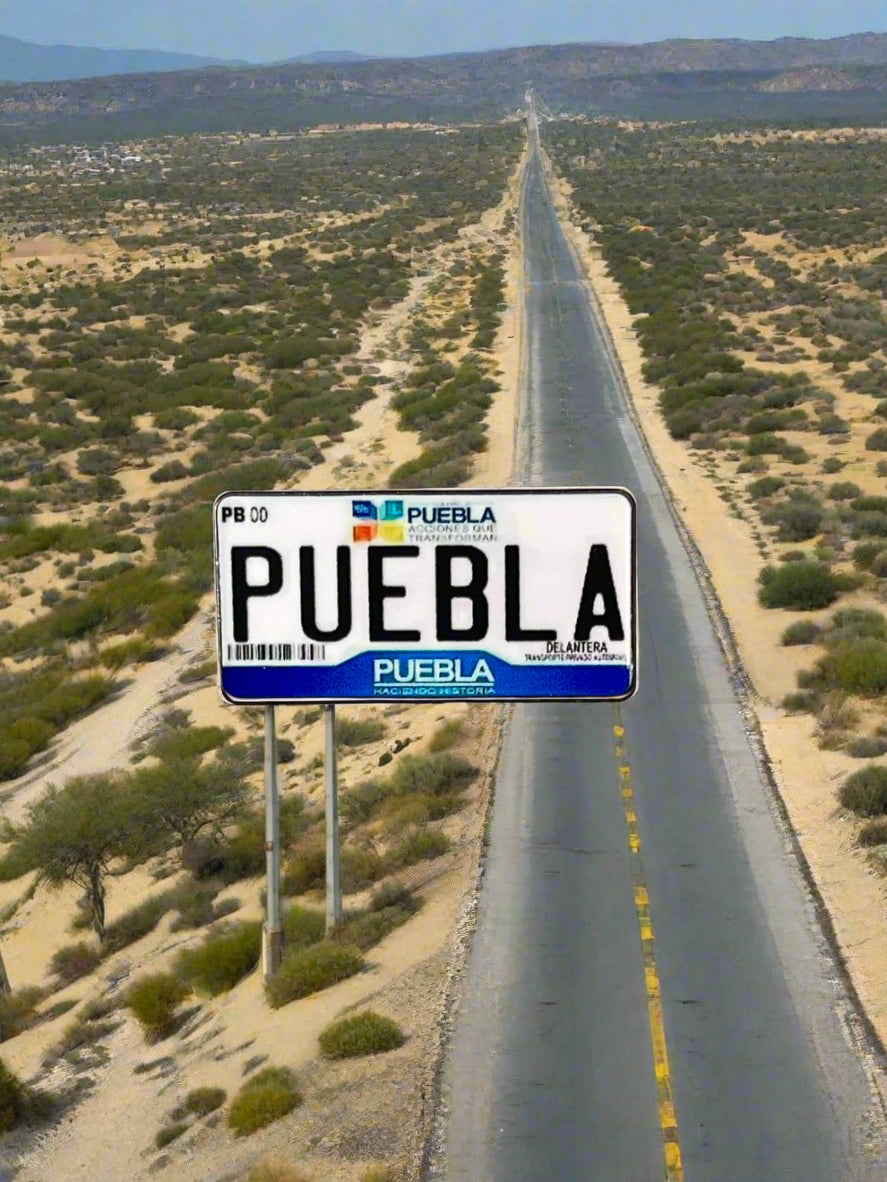 MEXICAN PLATES (Placa O Matricula)