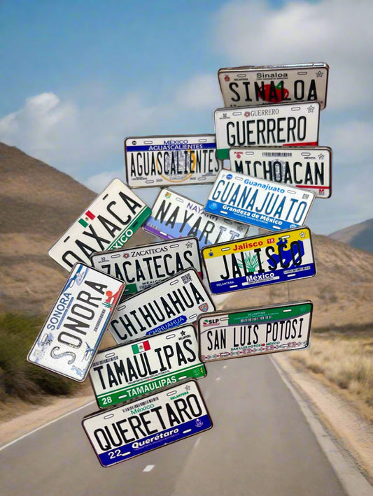 MEXICAN PLATES (Placa O Matricula)